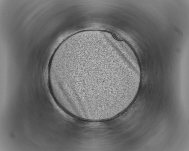 X0000112721479200909101436