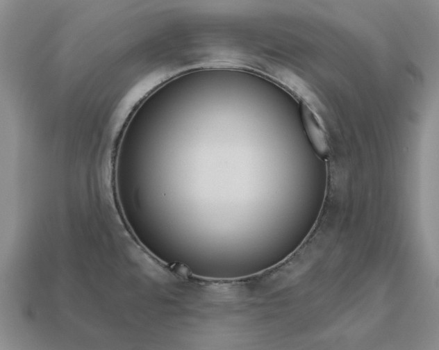 X0000112721480200909101436