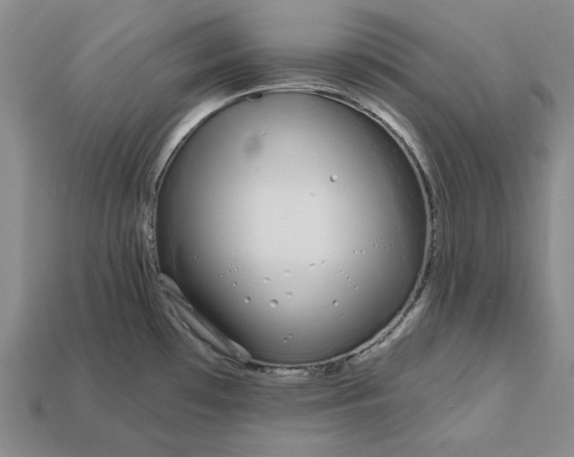 X0000112721481200909101436