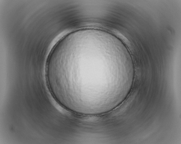 X0000112721482200909101436