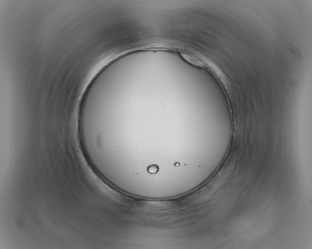 X0000112721483200909101436