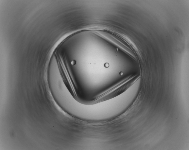 X0000112721484200909101436