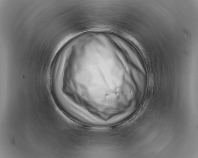 X0000112721487200909101436