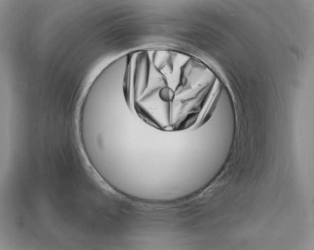 X0000112721488200909101436