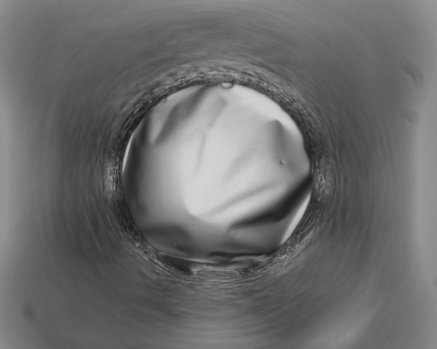 X0000112721490200909101436