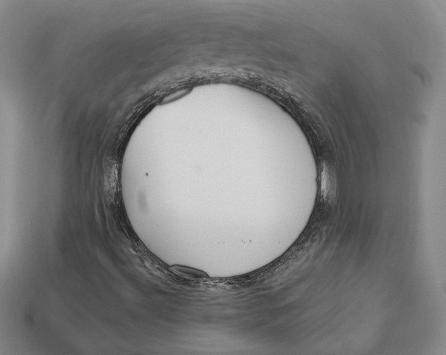 X0000112721492200909101436