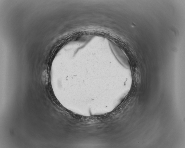 X0000112721493200909101436