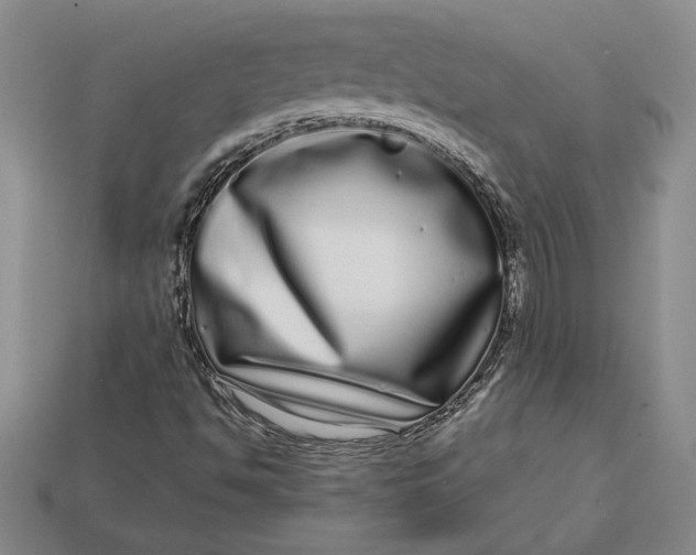 X0000112721494200909101436