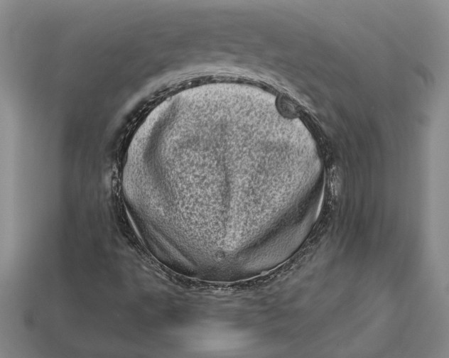 X0000112721495200909101436