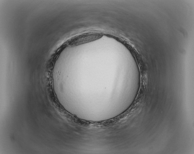 X0000112721496200909101436