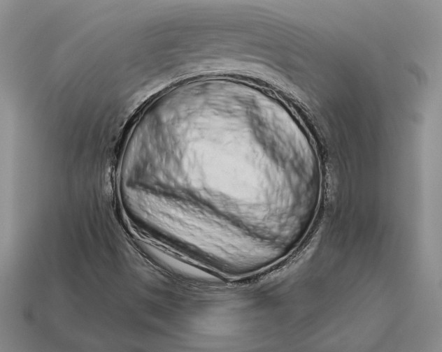 X0000112721497200909101436