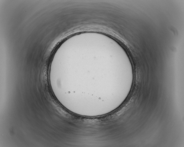 X0000112721498200909101436