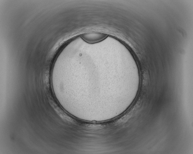 X0000112721499200909101436