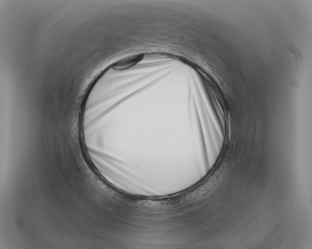 X0000112721500200909101436