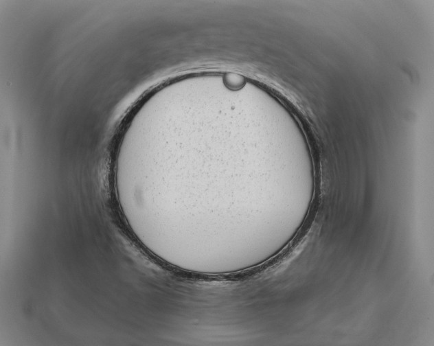 X0000112721502200909101436