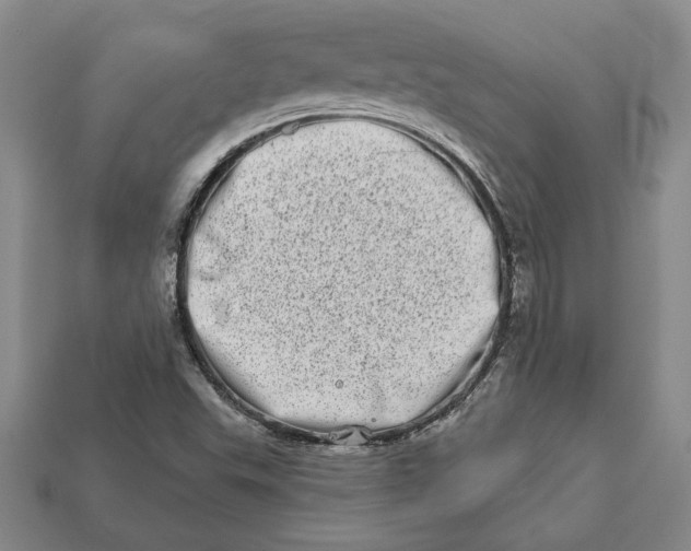 X0000112721503200909101436