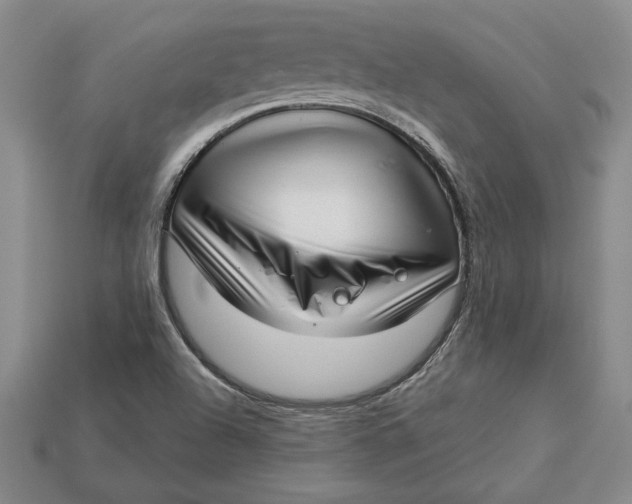 X0000112721504200909101436