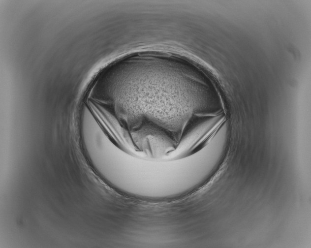 X0000112721506200909101436