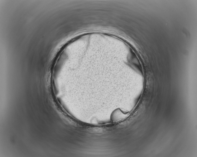 X0000112721507200909101436