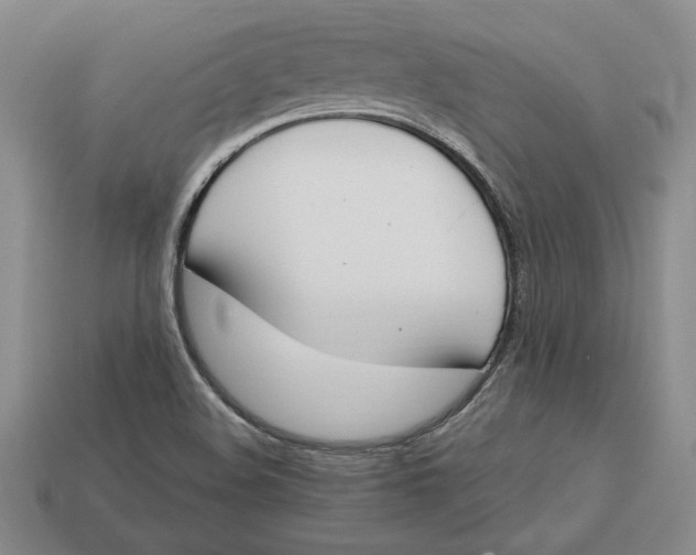 X0000112721508200909101436