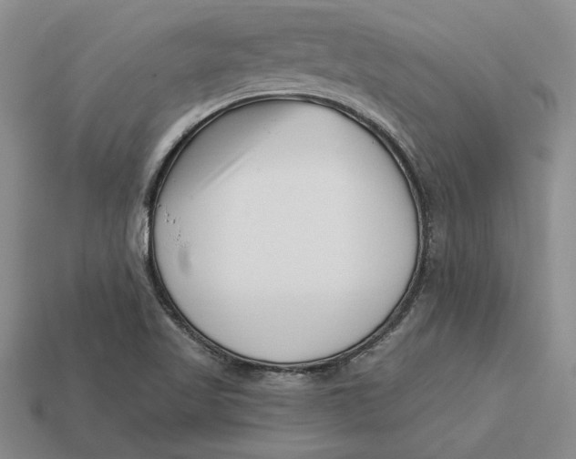 X0000112721509200909101436