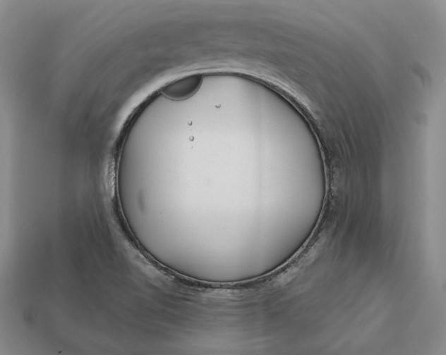 X0000112721510200909101436