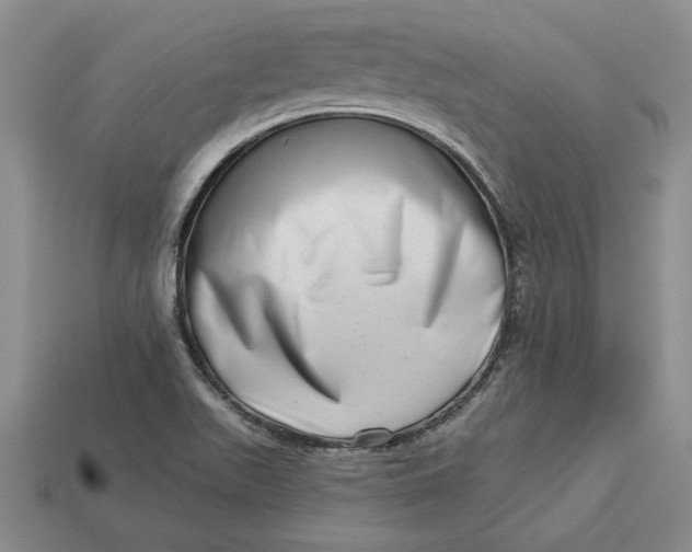 X0000112721511200909101436