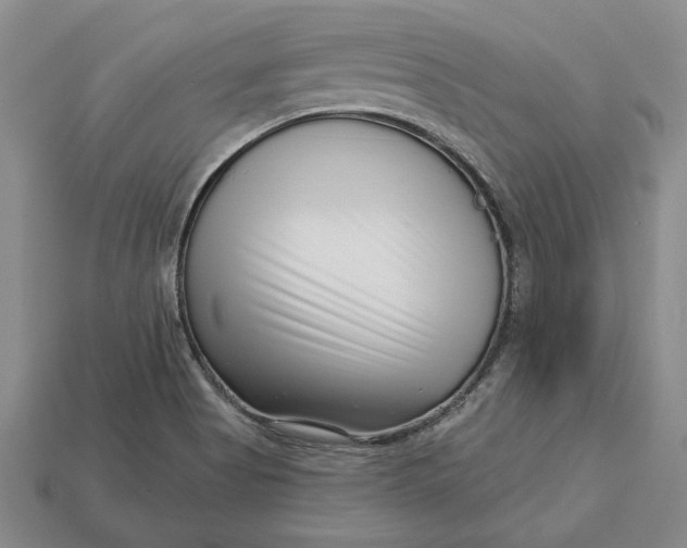 X0000112721513200909101436