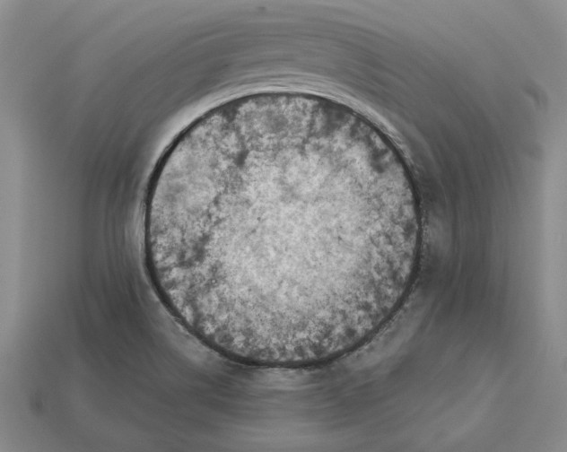 X0000112721514200909101436