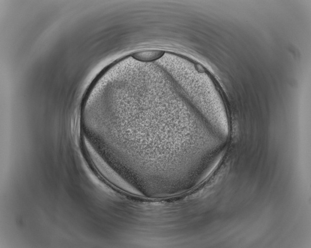 X0000112721515200909101436