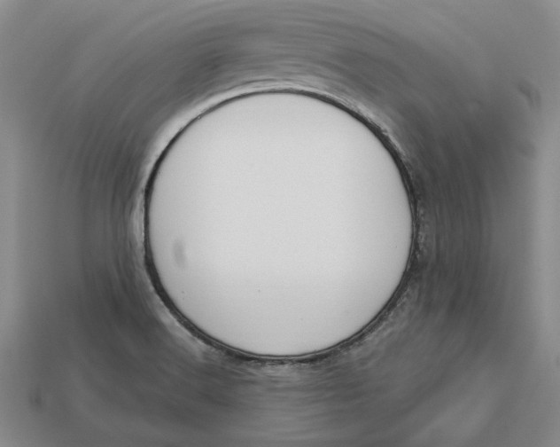 X0000112721516200909101436