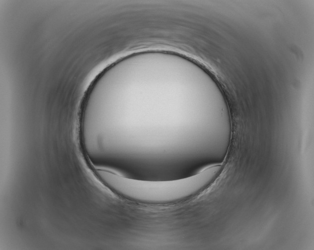 X0000112721518200909101436