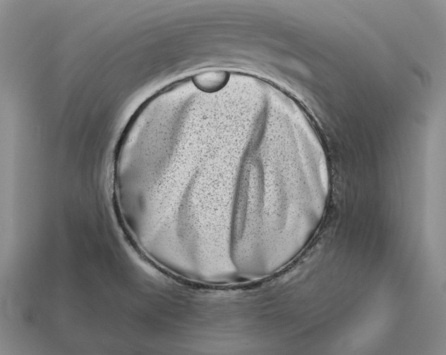 X0000112721519200909101436