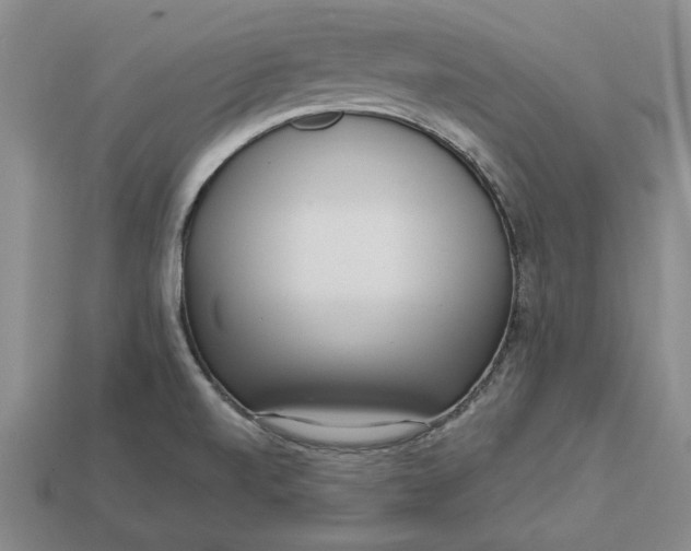 X0000112721520200909101436