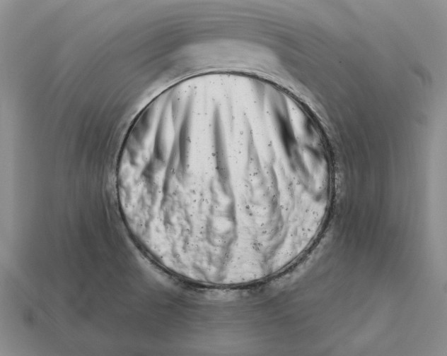 X0000112721521200909101436