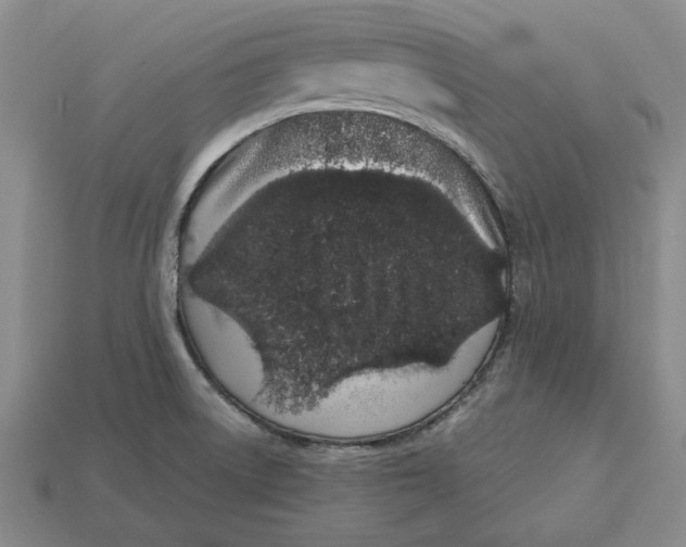 X0000112721522200909101436