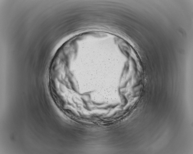 X0000112721523200909101436