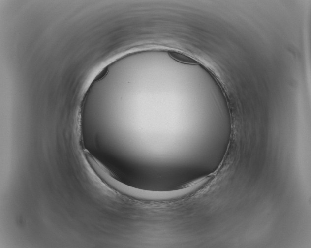 X0000112721524200909101436