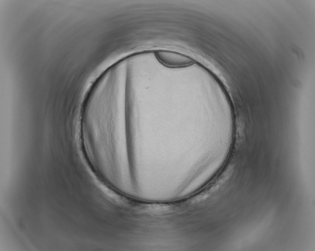 X0000112721525200909101436