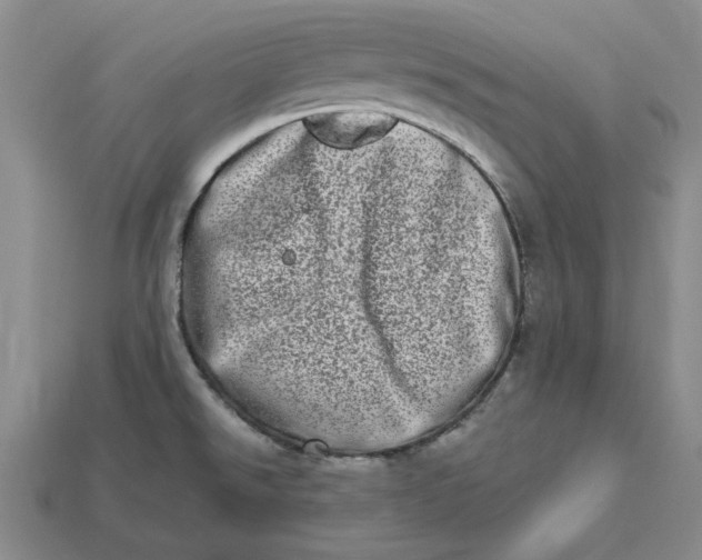 X0000112721526200909101436