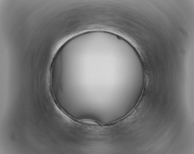 X0000112721527200909101436