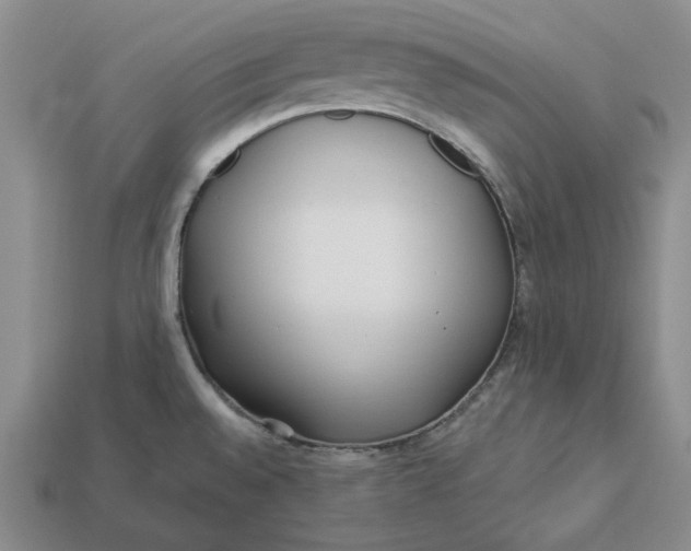 X0000112721528200909101436