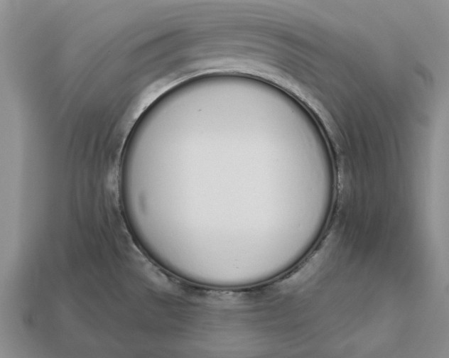 X0000112721529200909101436