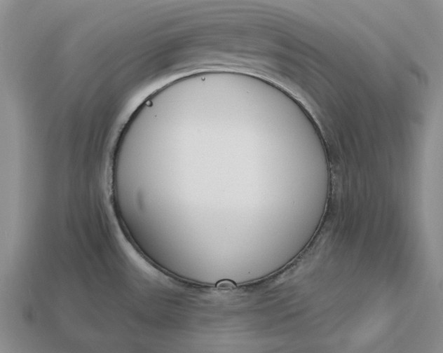 X0000112721531200909101436