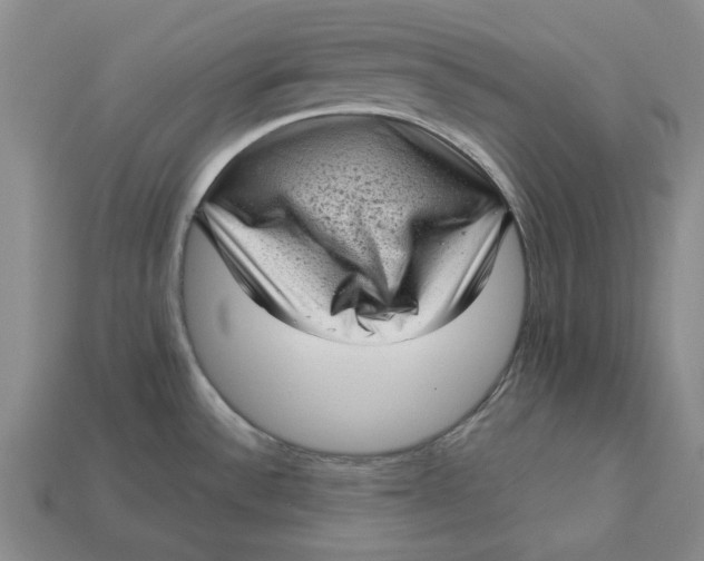 X0000112721532200909101436