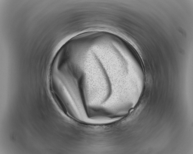 X0000112721533200909101436