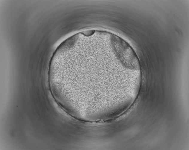 X0000112721534200909101436