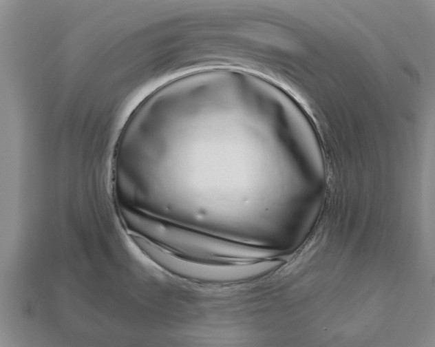 X0000112721535200909101436