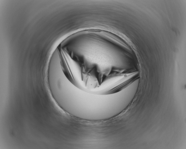 X0000112721536200909101436