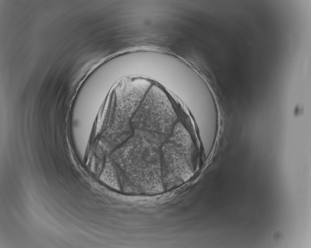 X0000112720001200909171115